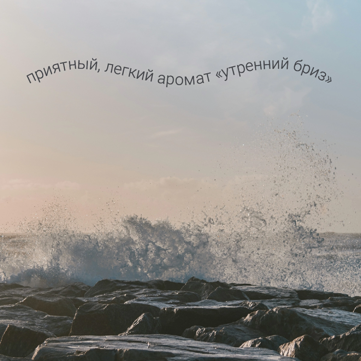 5 Гель для мытья пола Hausmann универсальный 1л фото 5