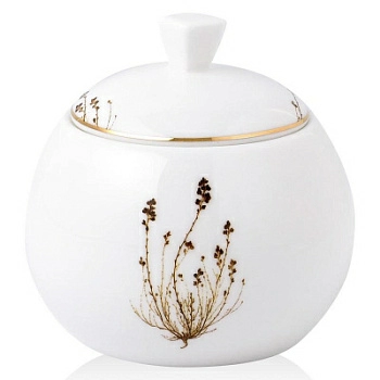 Полноразмерное изображение Полноразмерное изображение